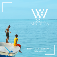 What We Do In Anguilla logo, What We Do In Anguilla contact details