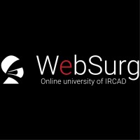 WebSurg (IRCAD) logo, WebSurg (IRCAD) contact details