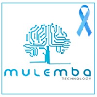 Mulemba Technology logo, Mulemba Technology contact details