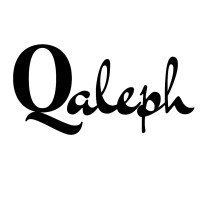 QAleph logo, QAleph contact details