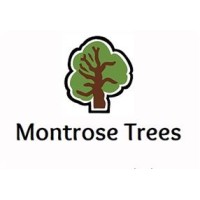 MONTROSE TREES LTD logo, MONTROSE TREES LTD contact details