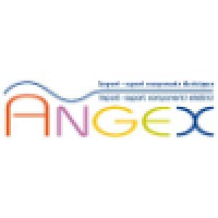 angexsrl logo, angexsrl contact details