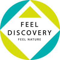 FEEL DISCOVERY logo, FEEL DISCOVERY contact details