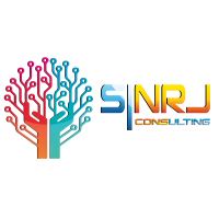 SI NRJ consulting logo, SI NRJ consulting contact details