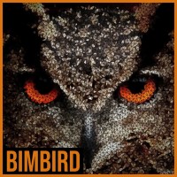 BIMBIRD logo, BIMBIRD contact details