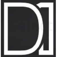 D1 Consulting logo, D1 Consulting contact details