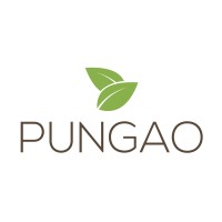 Pungao logo, Pungao contact details