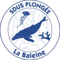 SDUS Plongée & Apnée logo, SDUS Plongée & Apnée contact details