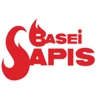 BASEI SAPIS SRL logo, BASEI SAPIS SRL contact details