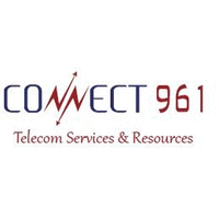 Connect961 - Connecting Your Network logo, Connect961 - Connecting Your Network contact details