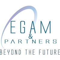 Egam & Partners Srl logo, Egam & Partners Srl contact details