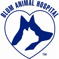 Blum Animal Hospital logo, Blum Animal Hospital contact details