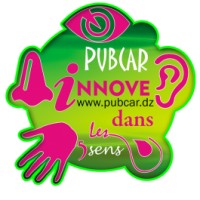 PUBCAR logo, PUBCAR contact details