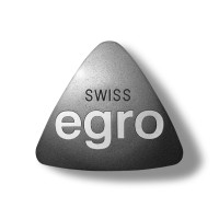 Egro Industrial Systems AG logo, Egro Industrial Systems AG contact details