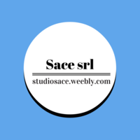 Sace srl logo, Sace srl contact details