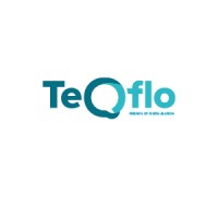 TeQflo | Tech & Business Consulting logo, TeQflo | Tech & Business Consulting contact details