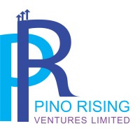 Pinorising Ventures ltd logo, Pinorising Ventures ltd contact details