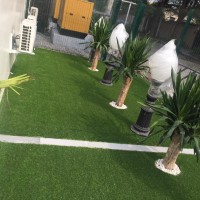 VP Grasse Artificial Turf logo, VP Grasse Artificial Turf contact details