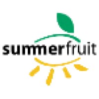 SUMMER FRUIT logo, SUMMER FRUIT contact details