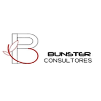 Bunster Consultores logo, Bunster Consultores contact details