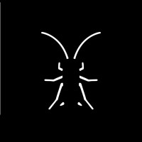 ROACH logo, ROACH contact details