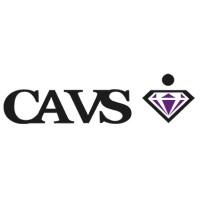 CAVS Publicidad logo, CAVS Publicidad contact details