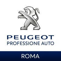 Professione Auto S.r.l. logo, Professione Auto S.r.l. contact details