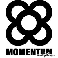 MOMENTUM Analytics A.I. logo, MOMENTUM Analytics A.I. contact details