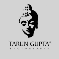 Tarun Gupta Photography logo, Tarun Gupta Photography contact details