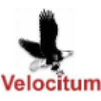 Velocitum logo, Velocitum contact details