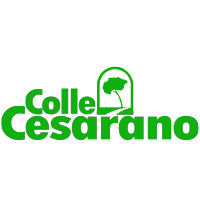 CENTRO DI CURA COLLE CESARANO logo, CENTRO DI CURA COLLE CESARANO contact details