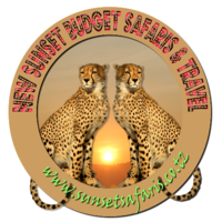 New SunSet Budget Safaris and Travel logo, New SunSet Budget Safaris and Travel contact details