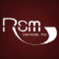 RSM Services, Inc logo, RSM Services, Inc contact details