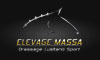 MASSA Horses ( Elevage Massa ) logo, MASSA Horses ( Elevage Massa ) contact details