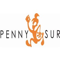 PENNYSUR logo, PENNYSUR contact details