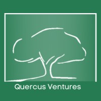 QUERCUS VENTURES - boutique de consultoría logo, QUERCUS VENTURES - boutique de consultoría contact details