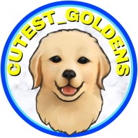 Cutest_Goldens logo, Cutest_Goldens contact details