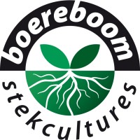 Boereboom Stekcultures logo, Boereboom Stekcultures contact details