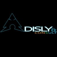 Adisly Consult logo, Adisly Consult contact details