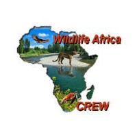 Wildlife of Africa Conservation Initiative logo, Wildlife of Africa Conservation Initiative contact details