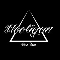 HooliganLLC logo, HooliganLLC contact details