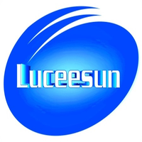 Luceesun Global Services logo, Luceesun Global Services contact details