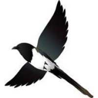 Magpie Ltd logo, Magpie Ltd contact details