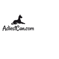 Adiestcan.com logo, Adiestcan.com contact details