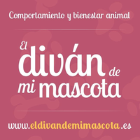 El Divàn de mi mascota logo, El Divàn de mi mascota contact details