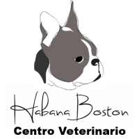 Habana Boston Clínica Veterinaria Boadilla logo, Habana Boston Clínica Veterinaria Boadilla contact details