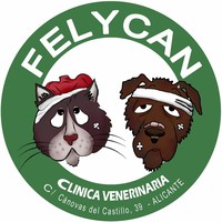 Felycan logo, Felycan contact details