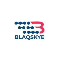 Blaqskye International logo, Blaqskye International contact details