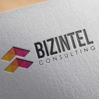 BizIntel Consulting logo, BizIntel Consulting contact details