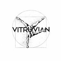 VITRUVIAN GLOBAL RESOURCES logo, VITRUVIAN GLOBAL RESOURCES contact details